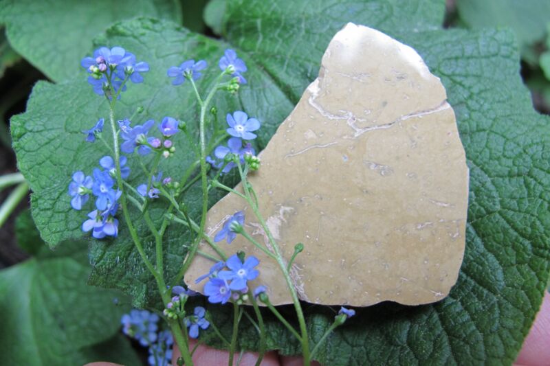 Porzellan - Jaspis aus Oberau bei Meißen , Sachsen