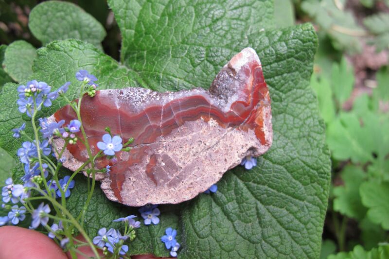 Korallen - Achat mit Bergkristall, St. Egidien Sachsen