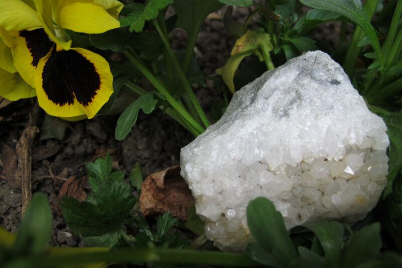 Quarz xx, Grauwacke vom 