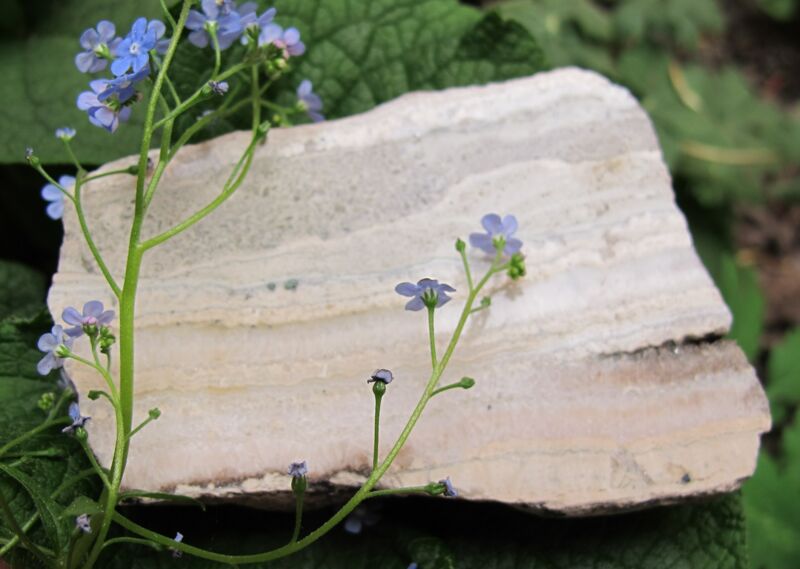 Schwerspat, Flußspat, Bleiglanz xx, Quarz xx aus Gersdorf bei Roßwein, Sachsen