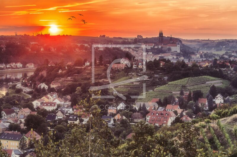 Fotogeschenk - Motiv 'Weinberg Mariaberg'