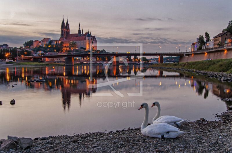 Fotogeschenk - Motiv 'Schwäne zur Abendstunde'